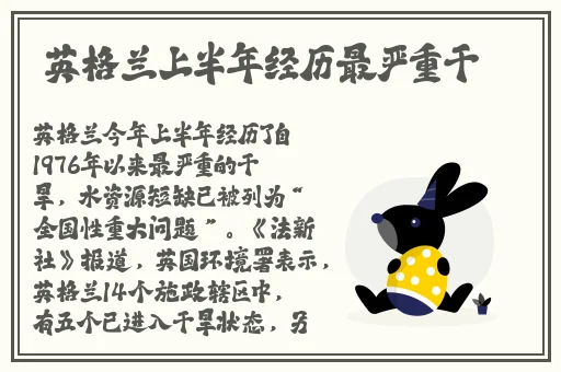 打扑克app软件开发下载免费