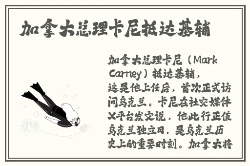国产精品网站入口一区二区