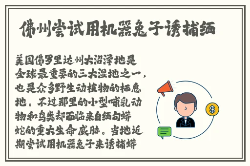 女儿今夜以身相报父亲小作文